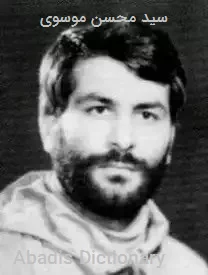 سید محسن موسوی